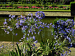  Foto von Citysam  Garten hinter dem Palast