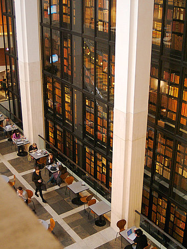  Bild von Citysam  Blick in das Petrie Museum