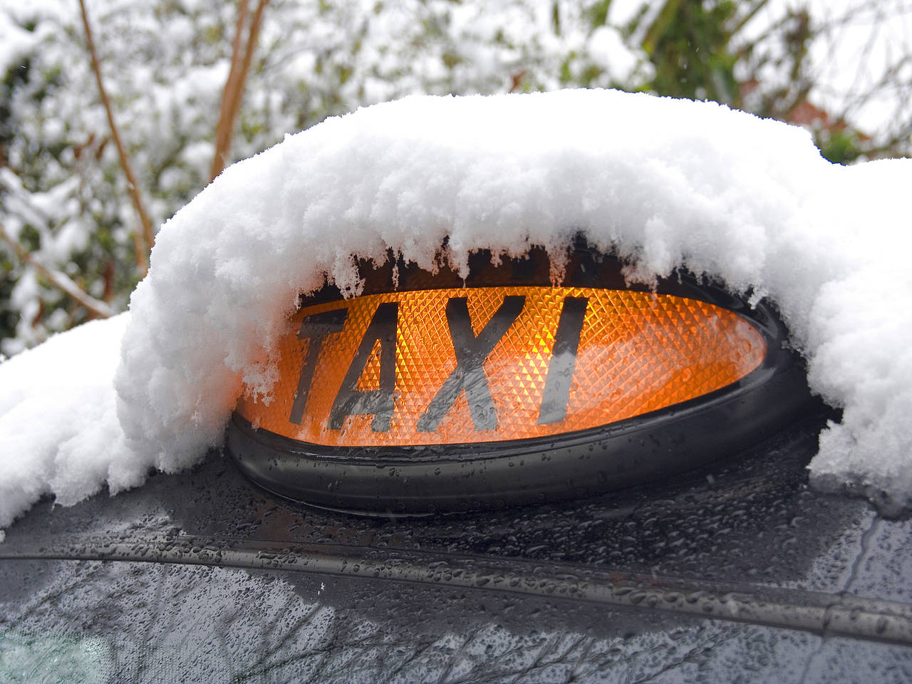  Bild Attraktion  Schneefall ist relativ selten