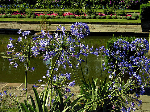  Foto von Citysam  Garten hinter dem Palast