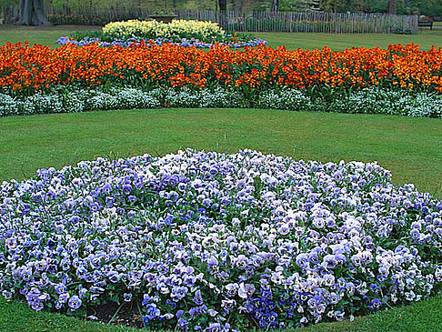  Fotografie Attraktion  St. James's ist der älteste königliche Park