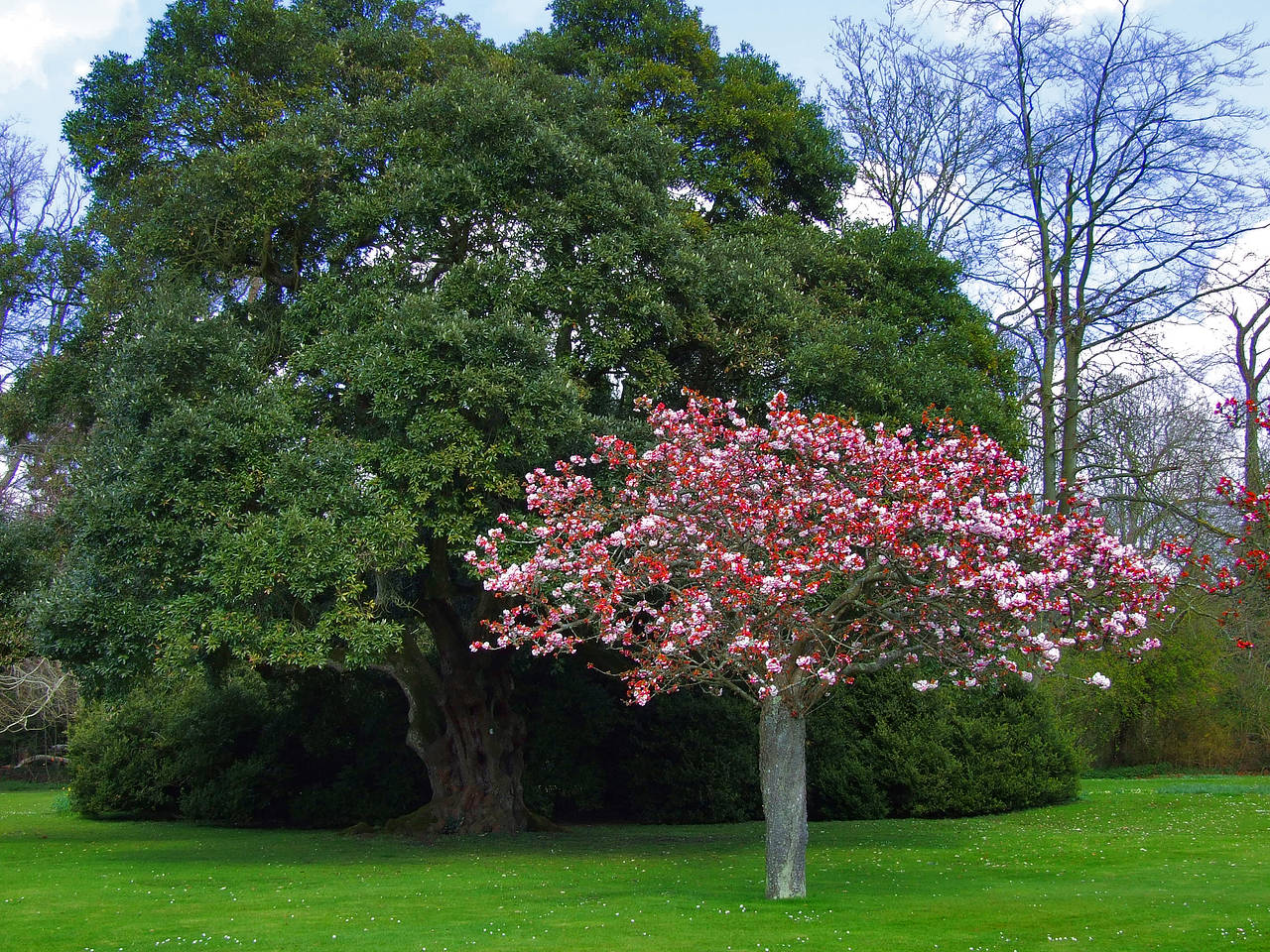 Foto Wilton House - London