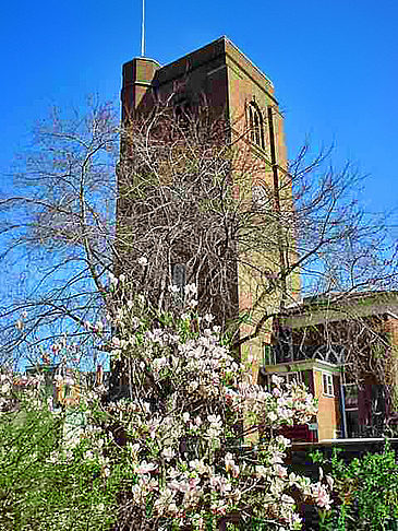 Foto Chelsea Old Church - London