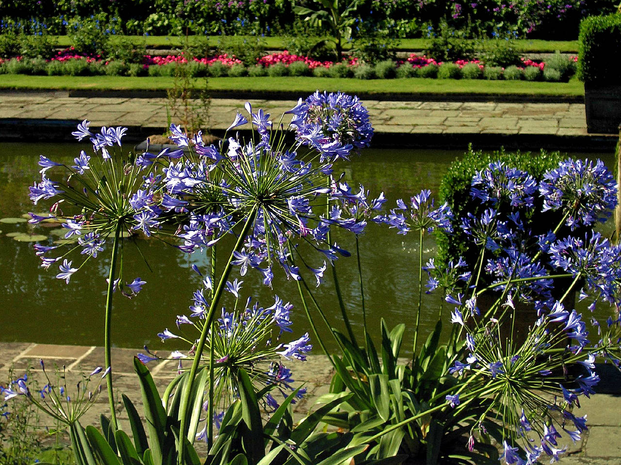 Foto Kensington Palace - London