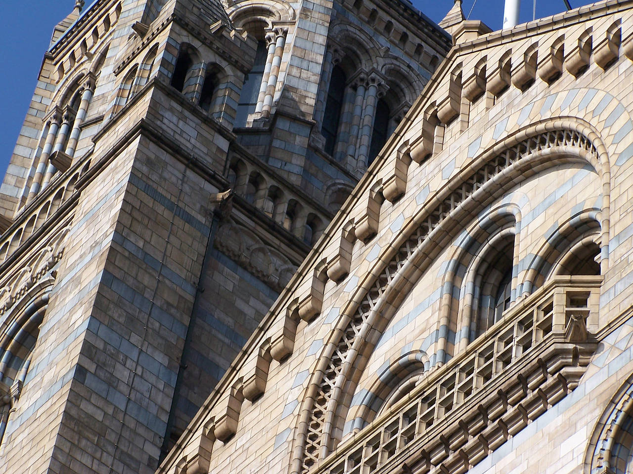 Foto Natural History Museum - London