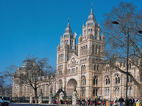 Foto Natural History Museum - London