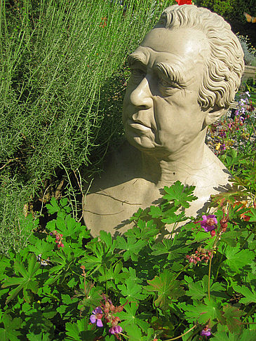 Chelsea Physic Garden - England (London)