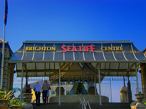 Sea Life Center - England (Brighton & Hove)