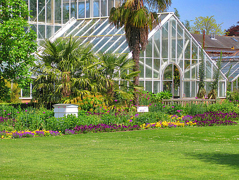 Cambridge Botanic Garden - England (Cambridge)