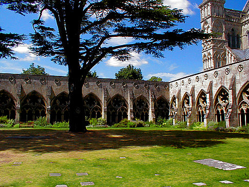 Salisbury Cathedral - England (London)