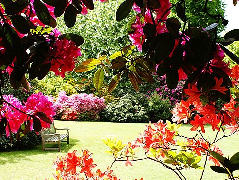 Hampstead - England (London)