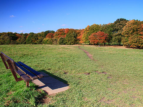 Hampstead Heath - England (London)