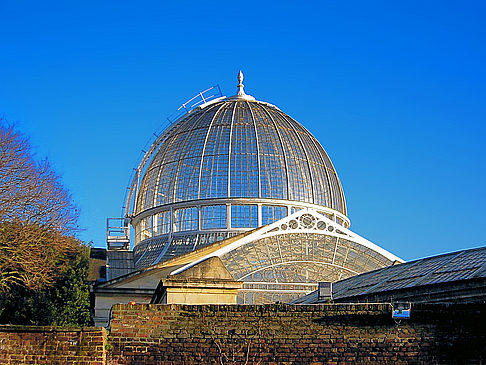 Syon House - England (London)