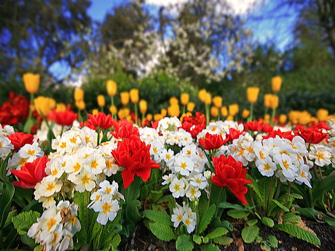 Regent´s Park Foto 