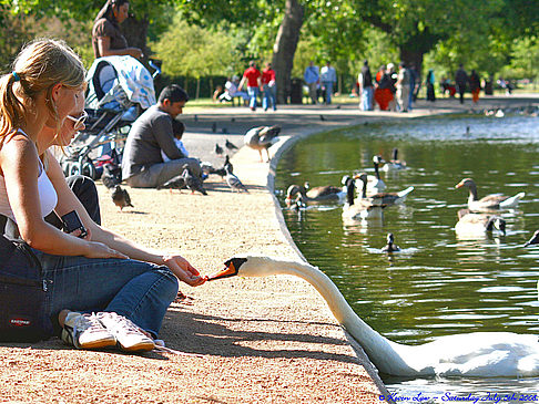 Regent´s Park Foto 