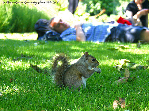 Fotos Green Park | London